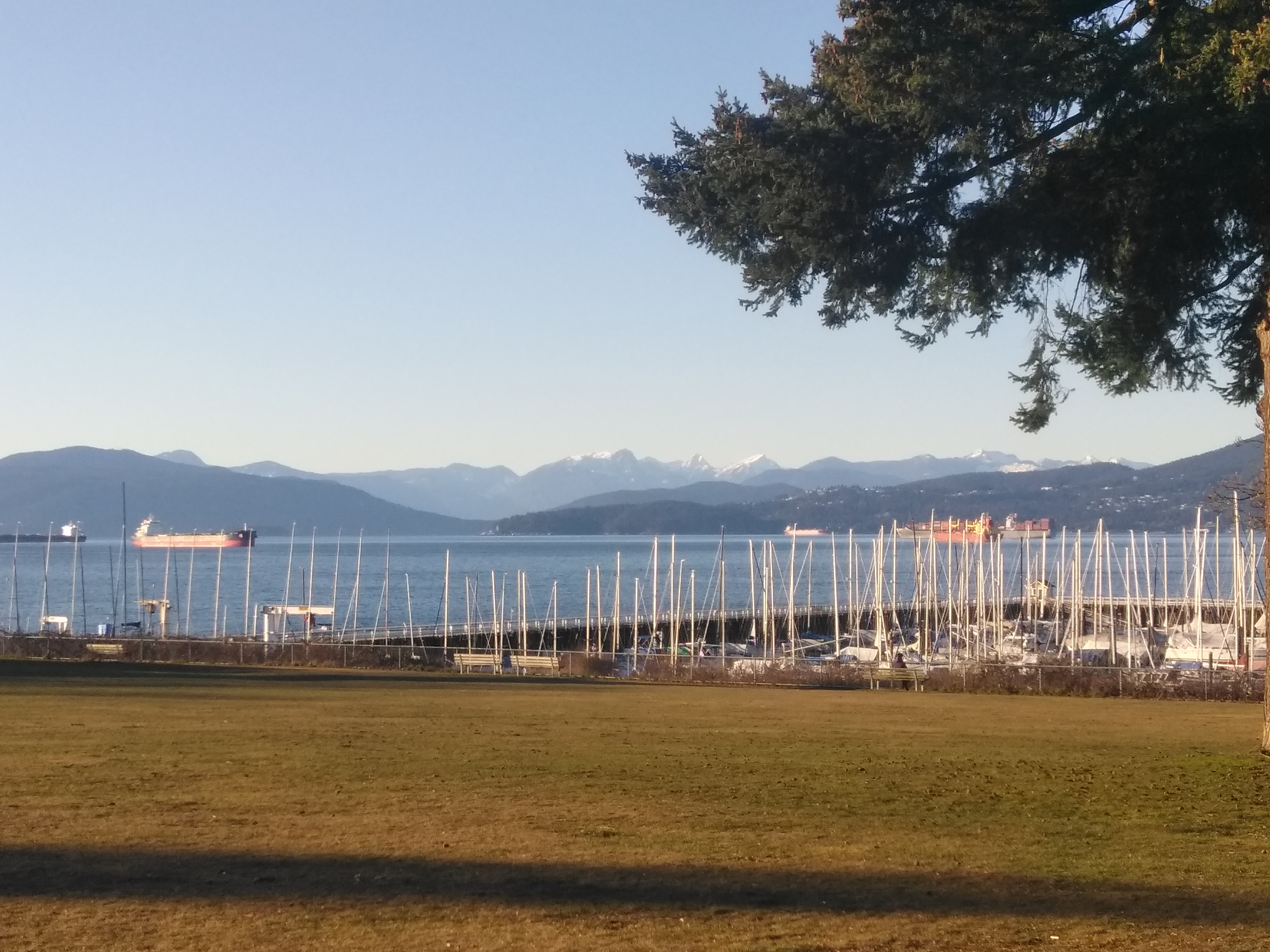 picture of the harbour in Vancouver